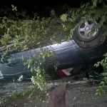 У Кривому Розі водій ВАЗ з ознаками сп'яніння врізався в дерево: справу передають до суду